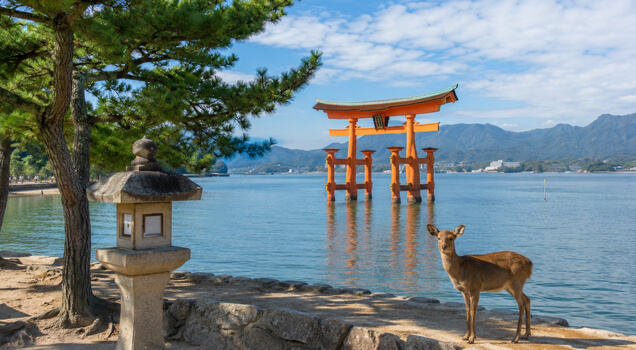 広島/中四国エリアのデザイン制作事例・実績