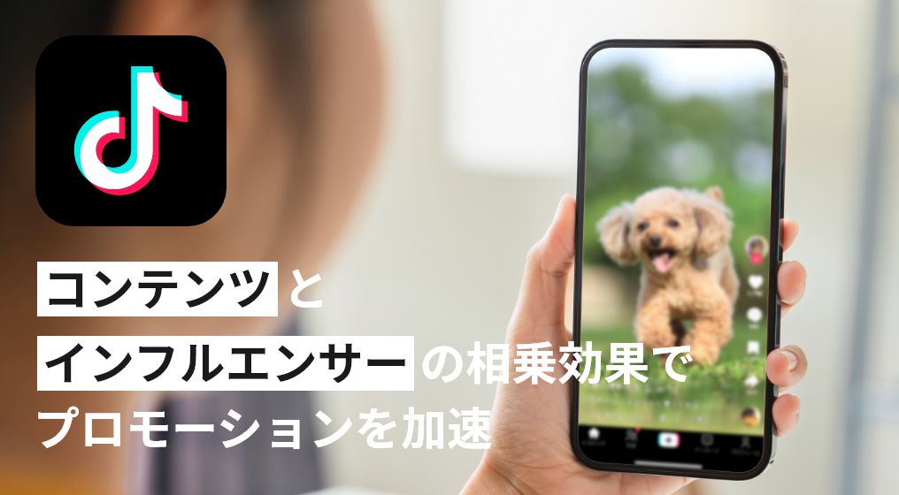 TikTok動画広告運用代行サービス