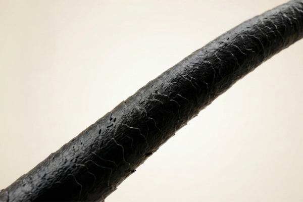 AIイメージ（髪の構造）