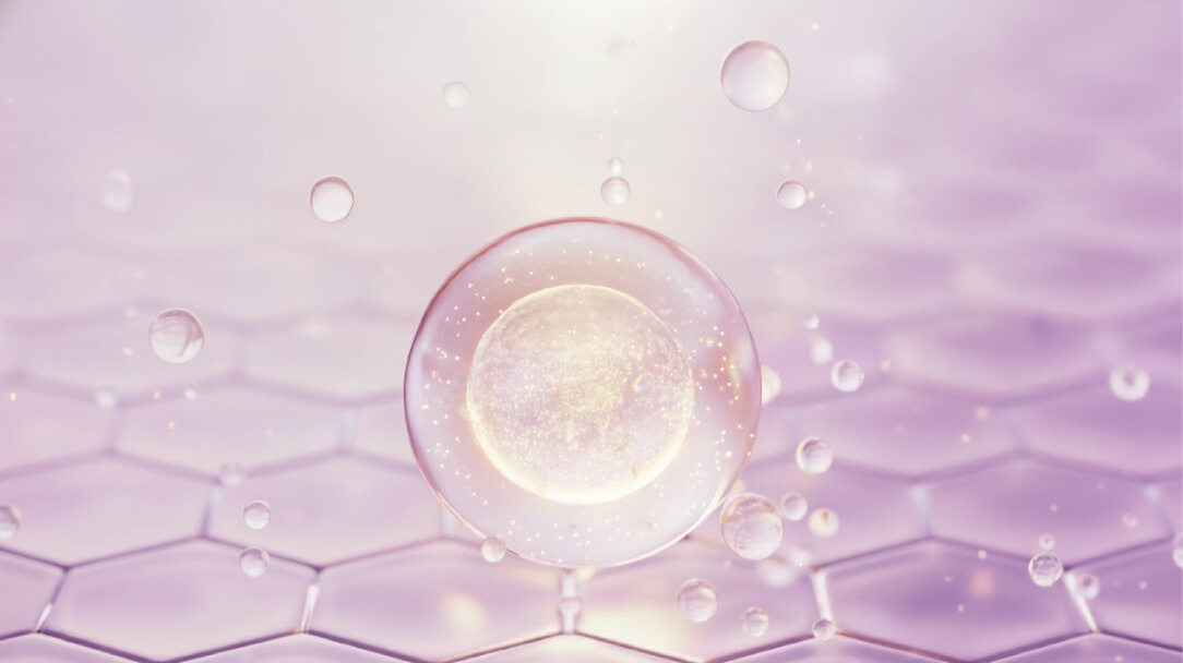 YouTube/SNS広告動画