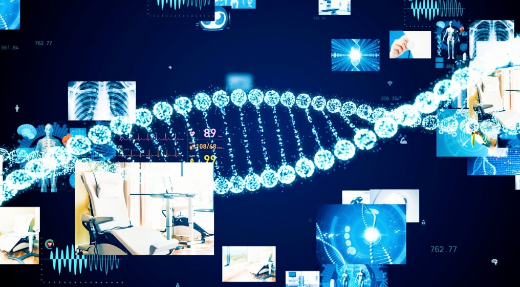 動画のターゲット