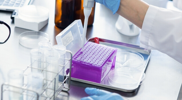 企業紹介・会社案内動画