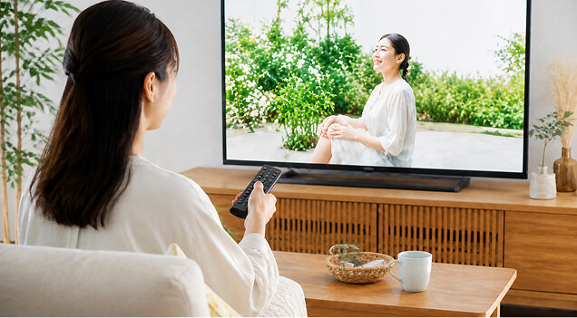 テレビCM出稿