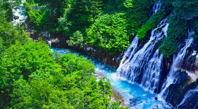 観光・旅行・レジャー業界