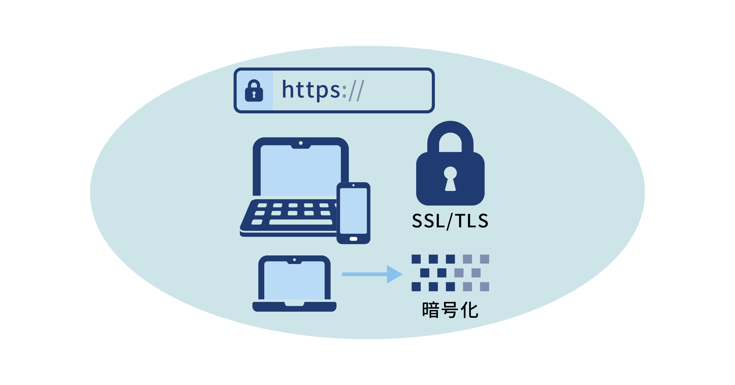 SSL費