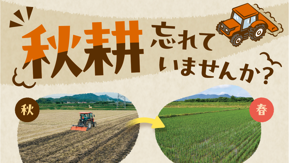 【チラシ・リーフレット】生産者向け秋耕訴求チラシ制作_全国農業協同組合連合会様