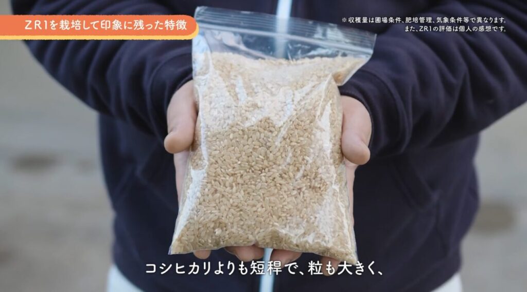 インサート・インタビュー撮影1
