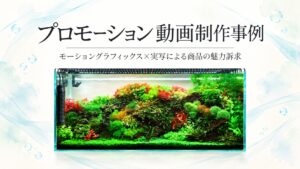 プロモーション動画制作事例 - モーショングラフィックス×実写による商品の魅力訴求 -