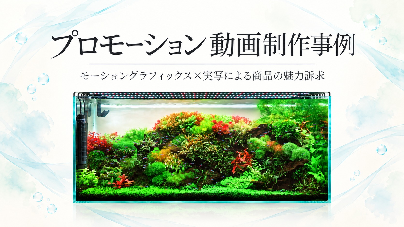 プロモーション動画制作事例 - モーショングラフィックス×実写による商品の魅力訴求 -