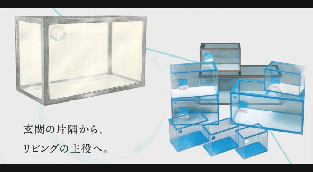 歴史パート1