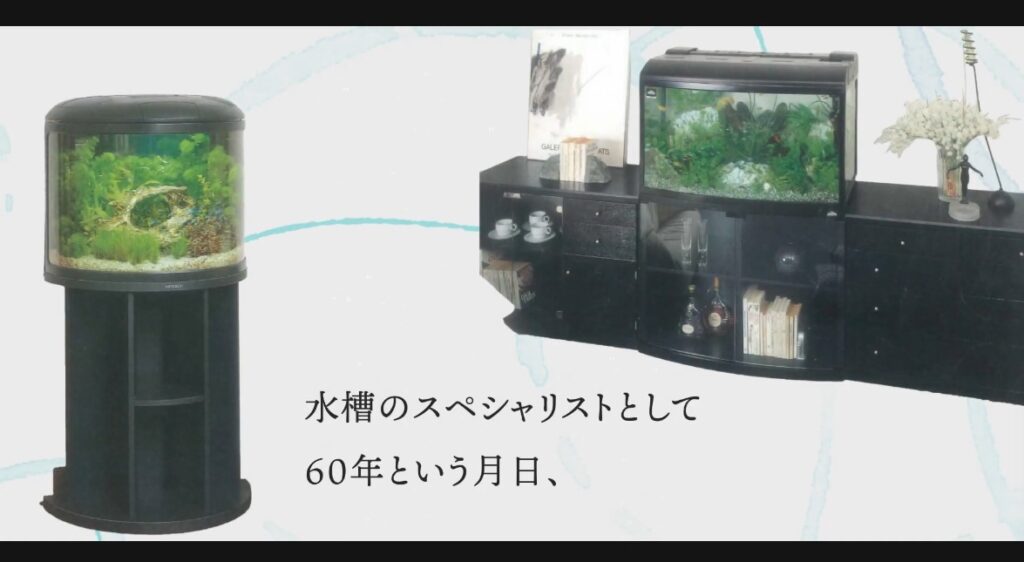 歴史パート2