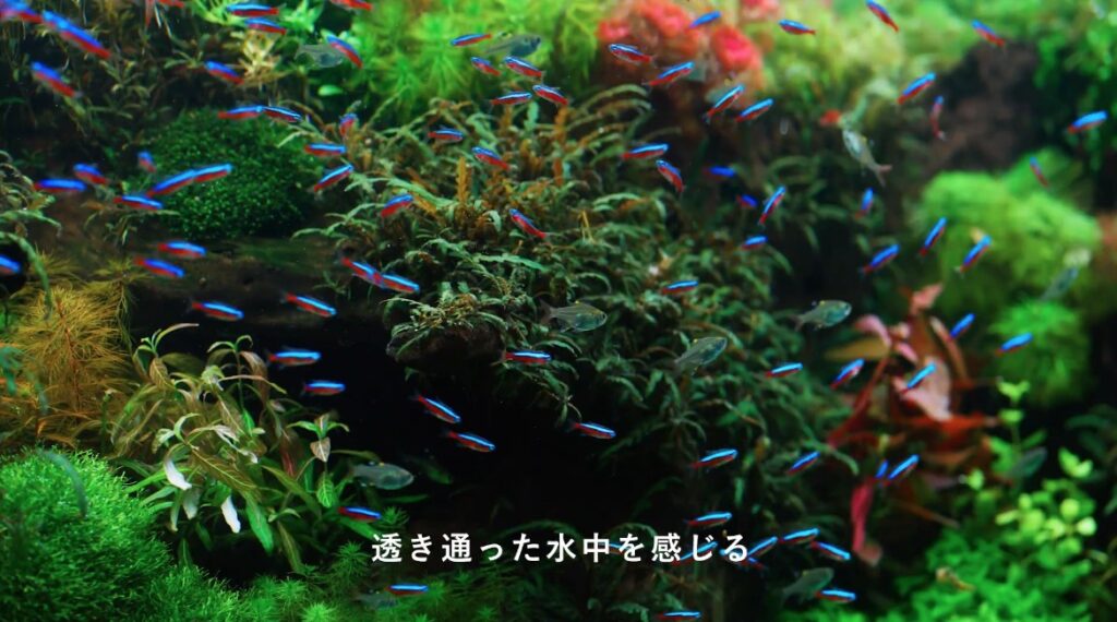 水槽の製品カット2